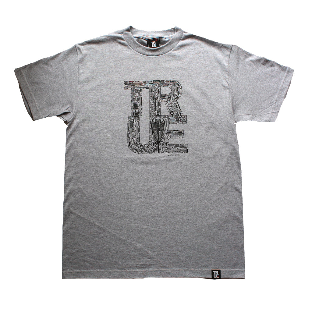 Mens True Fossilsphere T-Shirt Heather Grey – Shop True Clothing