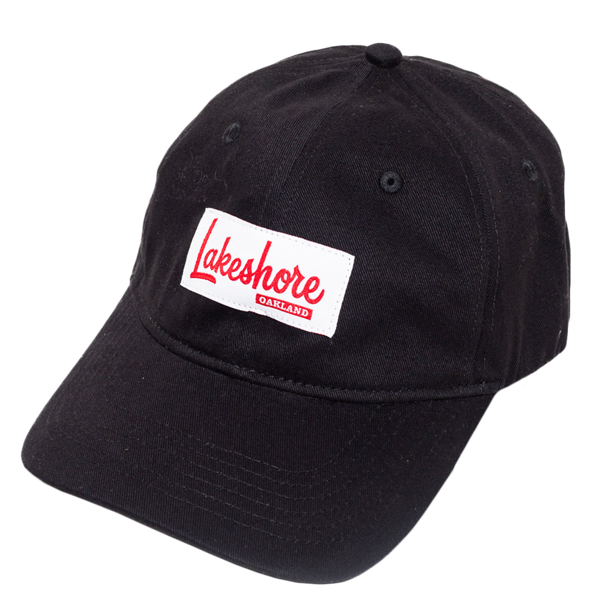 True Lakeshore Dad Hat Black