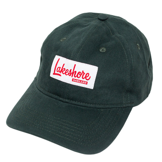 True Lakeshore Dad Hat Green