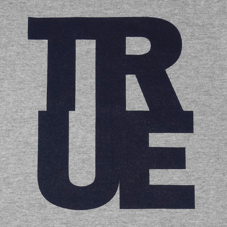 Mens True Logo Raglan T-Shirt Grey/Navy - Shop True Clothing