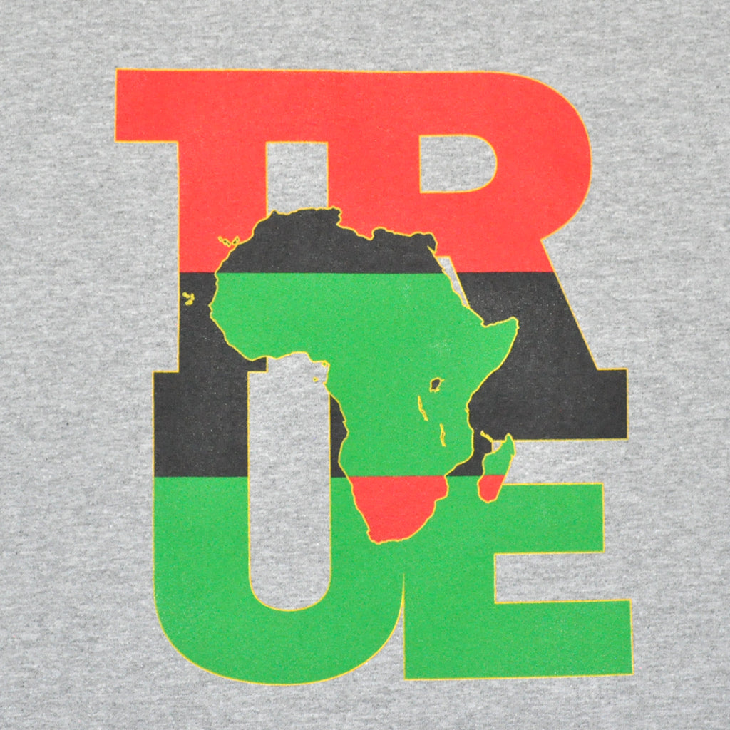 Mens True Logo Africa T-Shirt Heather Grey - Shop True Clothing